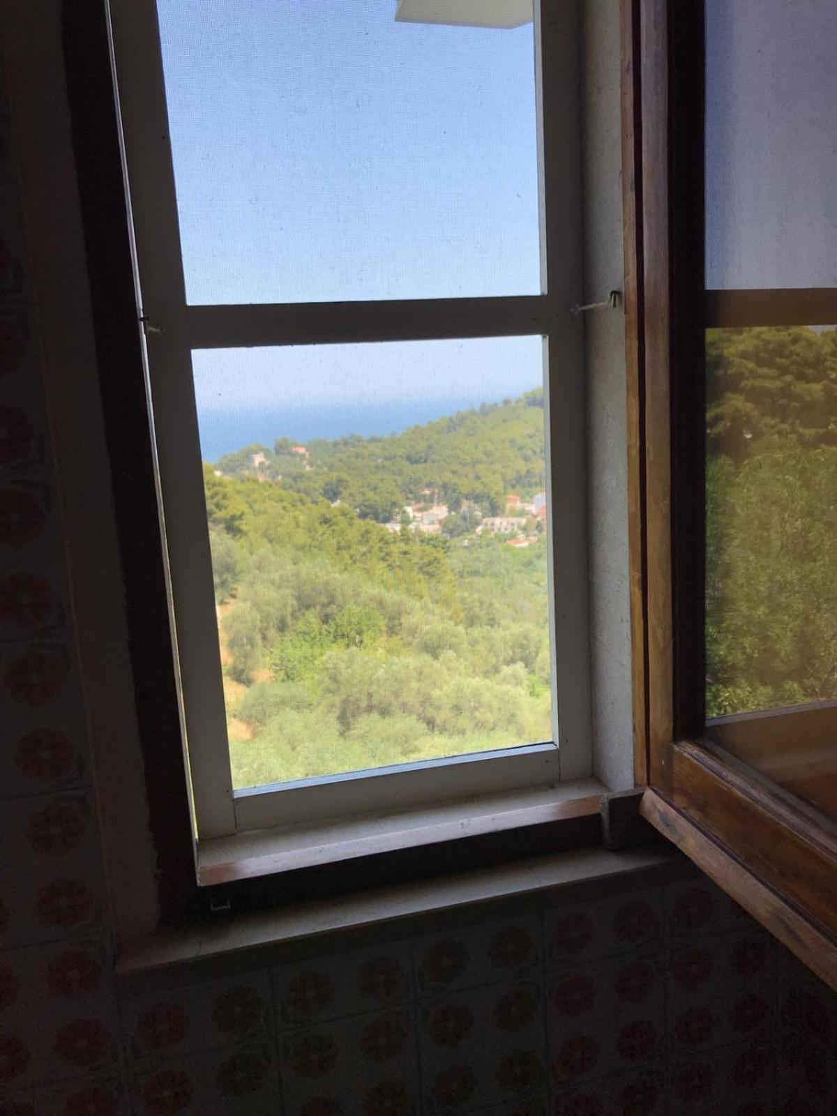 Villa Pineta San Menaio Extérieur photo